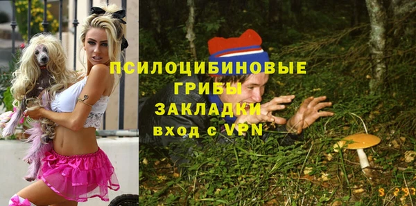 герыч Алзамай